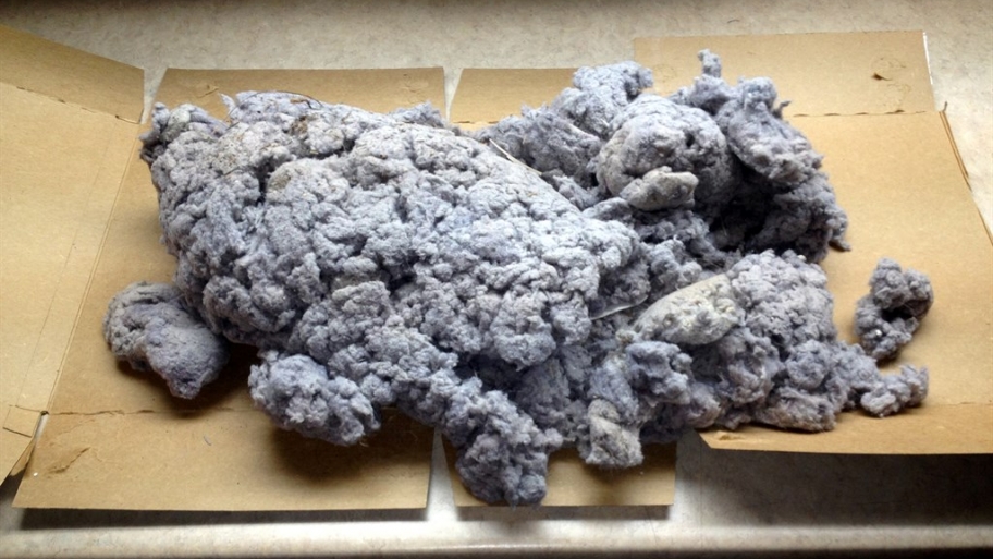 dryer vent lint